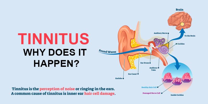 Tinnitus why does it happen